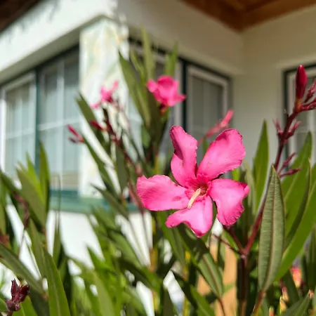 Bichl Apartament Sölden